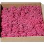 Véritable mousse d'Islande SVEINBJÖRN, fuchsia, 2,7kg