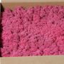 Véritable mousse d'Islande SVEINBJÖRN, fuchsia, 2,7kg
