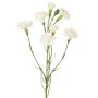Branche de fleur artificielle d'œillet PIARA, blanche, 60 cm, Ø 3-5 cm
