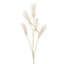 Branche décorative en roseau LOMTA avec panicules, crème-doré, 130 cm