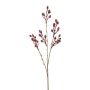 Branche décorative d'églantier FRIMTE avec des cynorrhodons, rouge bourgogne, 55cm