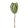 Fleur artificielle « coussin à épingles » Protea LINDAR, verte, 70 cm
