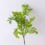 Branche décorative de thuya BIRLAF, vert-jaune, 60 cm