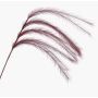Branche artificielle Panicules de stipa LUMINIA, rouge bourgogne, 135cm