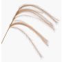 Branche artificielle Panicules de stipa LUMINIA, beige, 135cm