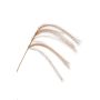Branche artificielle Panicules de stipa LUMINIA, beige, 135cm