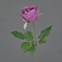 Fleur artificielle Rose POPI, violet-vert, 55cm