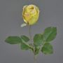 Fleur artificielle Rose POPI, jaune-rose, 55cm