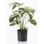 Philodendron Monstera Deliciosa artificiel ZAINE, vert-blanc, 40cm