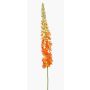 Fleur artificielle Eremurus NITTI, orange, 130cm