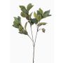 Branche d'eucalyptus décorative VIZIMIR avec des fruits, vert, 80cm