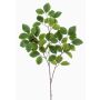 Branche de hêtre artificielle SIFOS, vert, 95cm