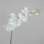 Branche d'orchidée Phalaenopsis artificielle AMARNE, blanche, 85 cm, Ø 7-11 cm
