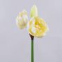 Amaryllis artificielle GRELTA, crème-jaune, 80cm