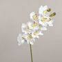 Branche d'orchidée Cymbidium artificielle LANAKILA, blanche, 70 cm, Ø 9 cm