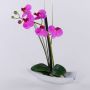 Orchidée artificielle Phalaenopsis YANNIE, roseau, coupelle en céramique, cerise, 30 cm