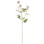 Branche de fleurs artificielles Chrysanthème REINHARDA, rose-blanc, 65cm