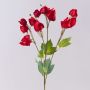 Branche artificielle Physalis SEVERINA avec des fruits, rouge, 60cm