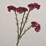 Fleur artificielle « lavande de plage » AYISHA, aspect séché, rouge foncé, 65 cm, 3,5 x 6 cm