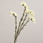 Fleur artificielle « lavande de plage » AYISHA, aspect séché, blanche, 65 cm, 3,5 x 6 cm
