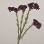 Fleur artificielle « Strandflieder » AYISHA, aspect séché, violet foncé, 65 cm, 3,5 x 6 cm