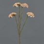Fleur artificielle Strandflieder AYISHA, aspect séché, crème-rose, 65cm, 3,5x6cm
