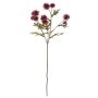 Branche de carthame des teinturiers artificielle TRUDBERTA, aspect sec, rouge bourgogne, 55cm