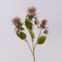 Branche de carthame des teinturiers en plastique VALDISOLI, aspect sec, vieux rose, 55cm
