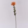Fleur artificielle Leucospermum Protea URMINE, aspect sec, orange, 60cm