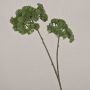 Branche de fleurs artificielle Sedum telephium VALBONA, aspect sec, vert, 70cm