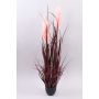 Herbe de la Pampa décorative WERNHILD avec des panicules, pot décoratif, rouge-brun, 90cm