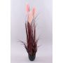 Herbe de la Pampa décorative WERNHILD avec des panicules, pot décoratif, rouge-brun, 120cm