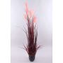 Herbe de la Pampa décorative WERNHILD avec des panicules, pot décoratif, rouge-brun, 150cm