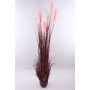 Herbe de la Pampa décorative WERNHILD avec des panicules, pot décoratif, rouge-brun, 180cm