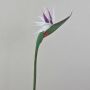 Fleur artificielle « oiseau de paradis » CHAYA, blanc-violet, 80 cm, 13 x 21 cm