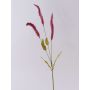 Branche d'herbe décorative Liriope JELIKANTA avec des panicules, rouge bourgogne, 60cm