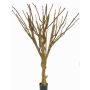 Tronc d'arbre et branches sans feuillage artificiel MAKOA, brun, 220cm