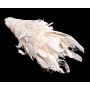 Fibre de coco naturelle ABENA, blanche, 220 g