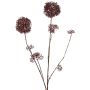 Branche de skimmia artificielle LOBUS, rouge foncé, 90 cm, Ø 4-8,5 cm