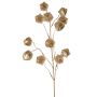 Branche décorative de physalis DUGONG avec fruits, dorée, 90 cm