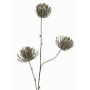 Branche artificielle coussin à épingles Protea KAPO avec paillettes, vert olive, 85cm, Ø8cm