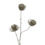 Branche artificielle « coussin à épingles » Protea KAPO avec paillettes, vert olive, 85 cm, Ø 8 cm