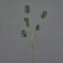 Branche artificielle de cardère sauvage LORISU, vert pétrole, 65 cm, Ø 3-4 cm