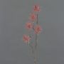Branche artificielle de hamamélis NUMBAT avec fleurs, vieux rose, 70 cm, Ø 6 cm