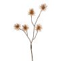 Branche artificielle de hamamélis NUMBAT avec fleurs, orange, 70 cm, Ø 6 cm