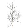 Branche artificielle d'Asparagus acutifolius NYALA, vert foncé, 85 cm