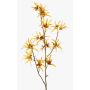 Branche de hamamélis artificielle ORAFA avec fleurs, jaune ocre, 80cm, Ø4-8cm