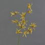 Branche de hamamélis artificielle ORAFA avec fleurs, jaune ocre, 80 cm, Ø 4-8 cm