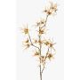 Branche de hamamélis artificielle ORAFA avec fleurs, beige, 80cm, Ø4-8cm