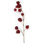 Branche artificielle de physalis AINOS, fruits, paillettes, rouge bordeaux, 80 cm